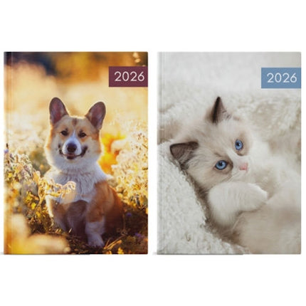A5 Week To View Cute Cats & Dogs 2026 Diary - Assorted