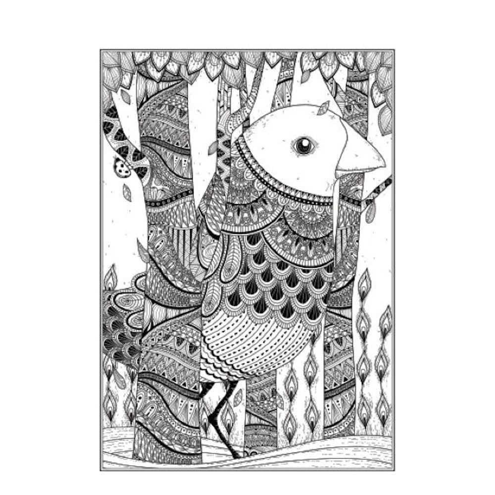A4 Beautiful Butterflies Birds Colouring Book - Assorted Stunning Designs High Quality Relaxing