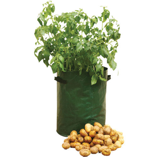 Potato Planter