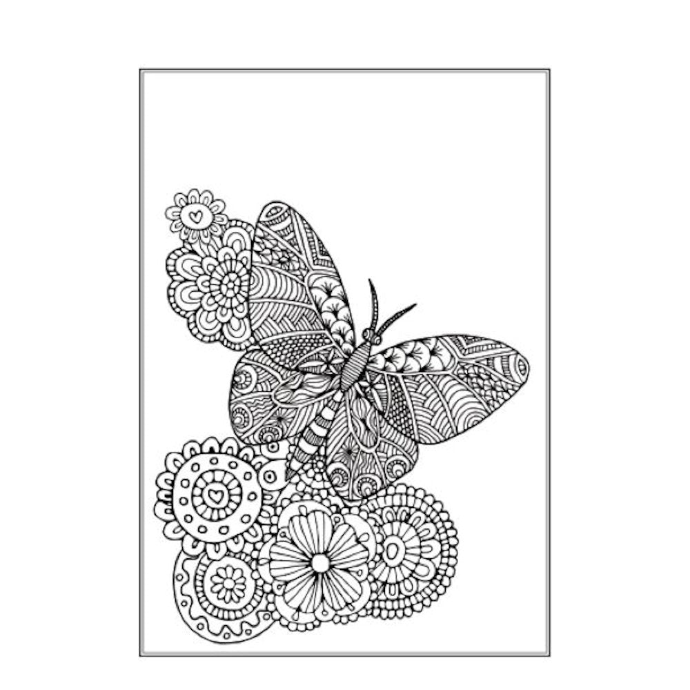 A4 Beautiful Butterflies Birds Colouring Book - Assorted Stunning Designs High Quality Relaxing