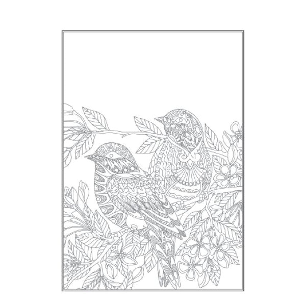 A4 Beautiful Butterflies Birds Colouring Book - Assorted Stunning Designs High Quality Relaxing
