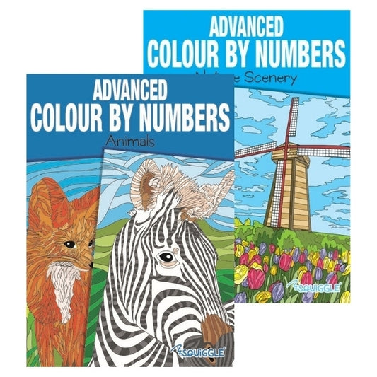 A4 Animals Nature Advanced Colour by Numbers Book - Assorted
