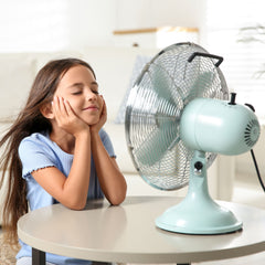 Collection image for: Fans