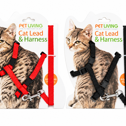 Cat Lead & Harness - (2 Assorted)