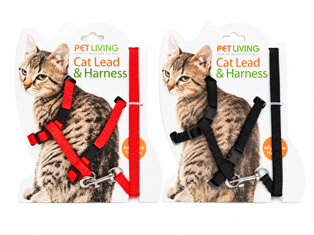 Cat Lead & Harness - (2 Assorted)