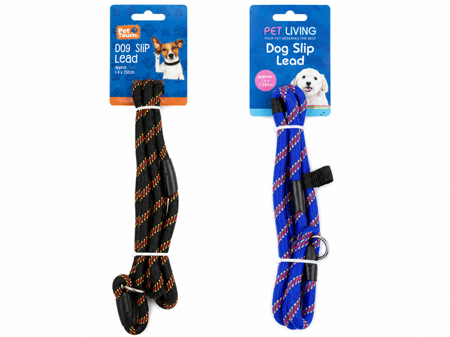Dog Slip Lead - (2 Assorted)