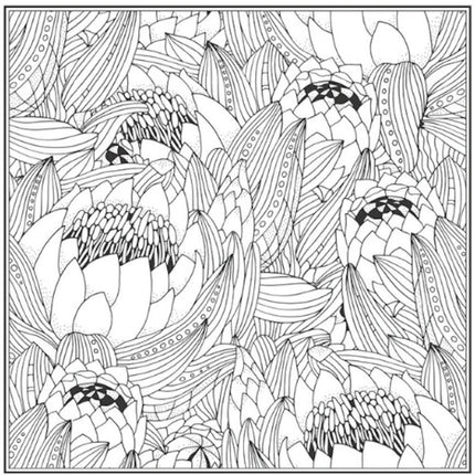 Peace Love Advanced Colouring Book - Single Assorted