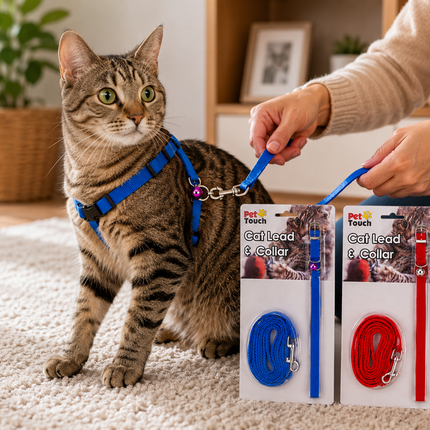 Cat Lead & Collar - (2 Assorted)