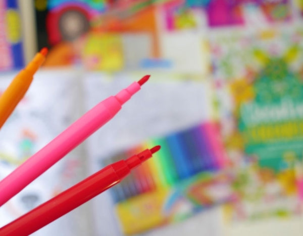 12 Coloured Fibre Pens