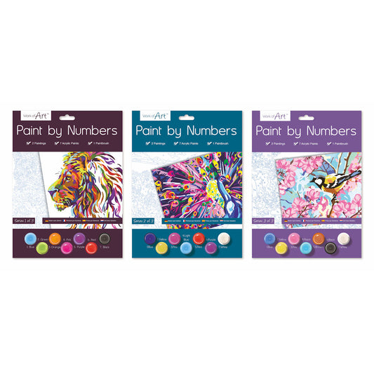 Paint By Numbers Adult - Assorted