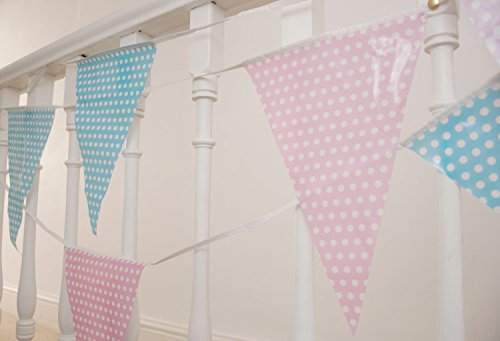 C1009 Pink & Blue Polka Dot 10m Triangle Bunting