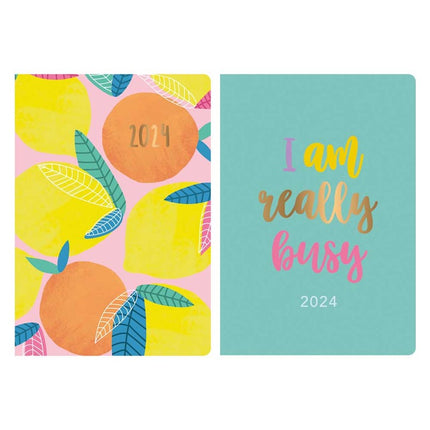 Eco Fully Recyclable WTV A5 Diary 2024-2025 - Assorted