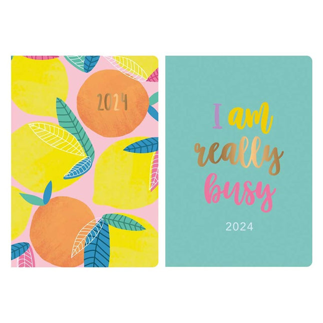 Eco Fully Recyclable WTV A5 Diary 2024-2025 - Assorted
