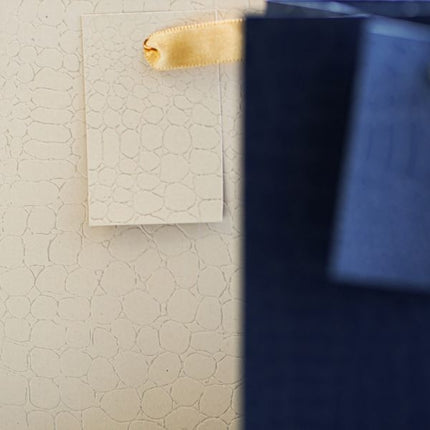 Embossed Matte Large Gift Bag