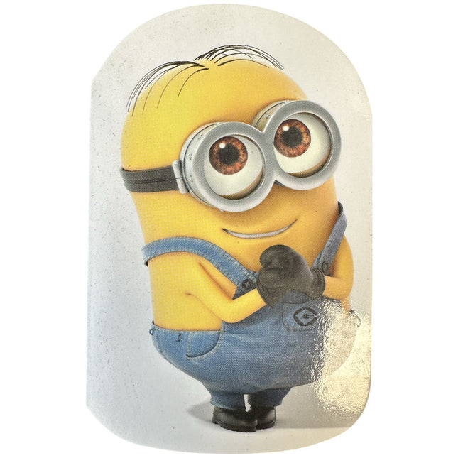 Despicable Me 2 Mini Notebook - Assorted