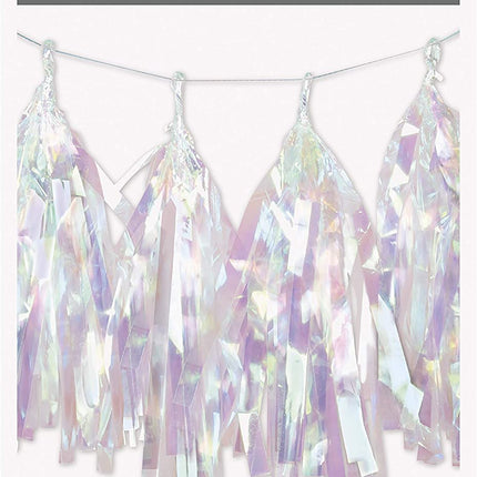 Iridescent Foil Tassel Garland - 9ft