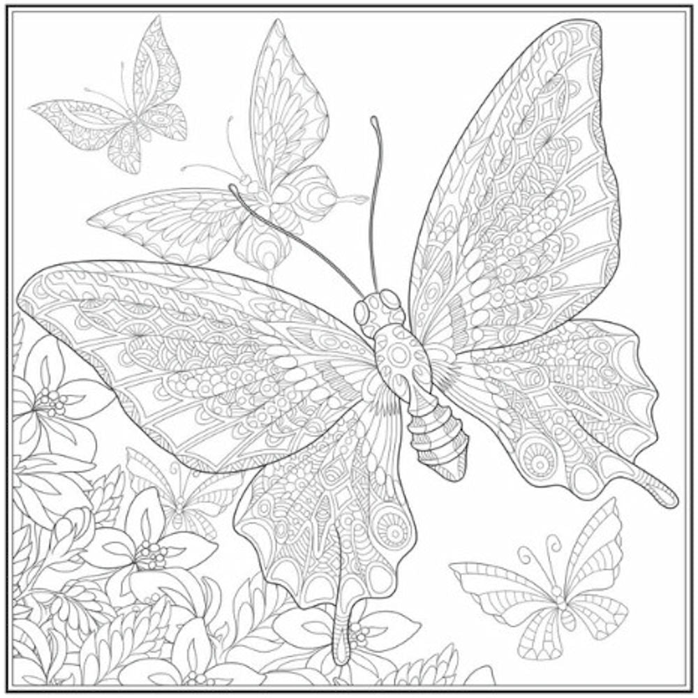 Peace Love Advanced Colouring Book - Single Assorted Intricate Designs High Quality Relaxation