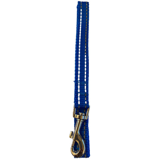 Reflective Doggy Lead Small - Blue