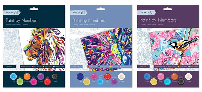 Adults Paint By Numbers