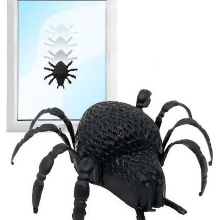 Window Walker Spiders - 6 Pack
