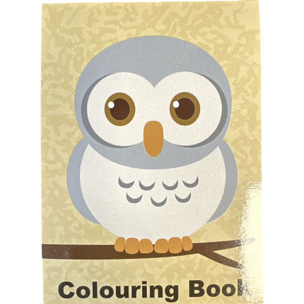 Cute Owls Mini Colouring Book - Assorted