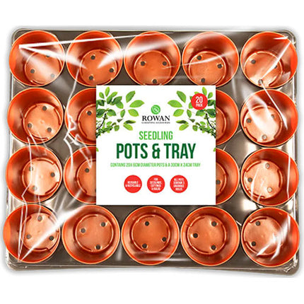 Mini Pots in Tray 20 Pack