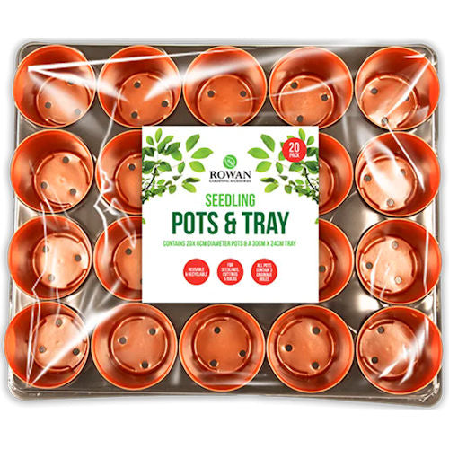 Mini Pots in Tray 20 Pack