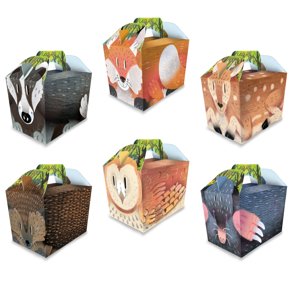 10 Cartoon Woodland Animal Boxes