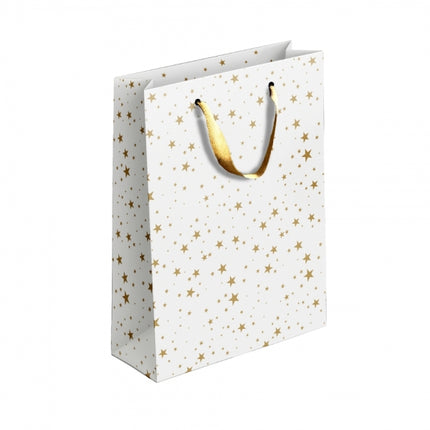 Gold/Silver Patterned Medium Gift Bag