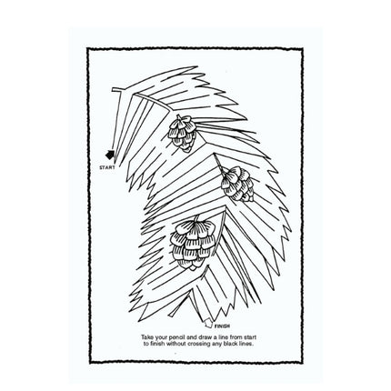 A4 Jumbo Activity Book