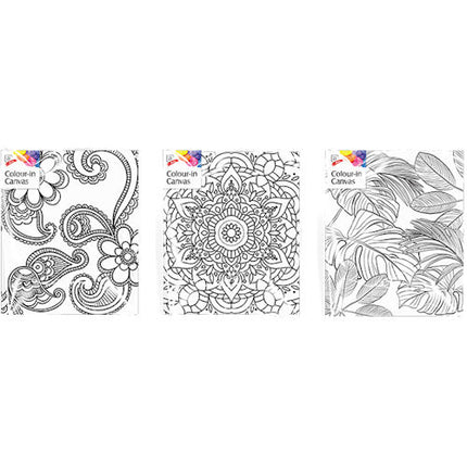 Colour In Canvas Single - Assorted