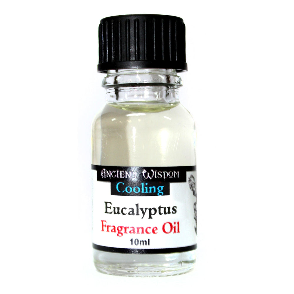 Fragrance Oil - Eucalyptus 10ml