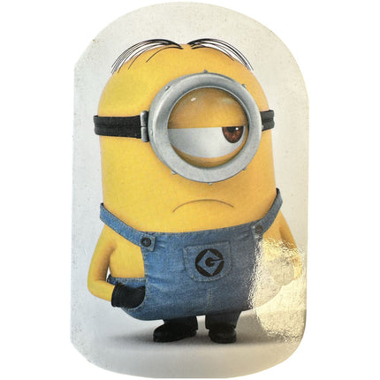 Despicable Me 2 Mini Notebook - Assorted