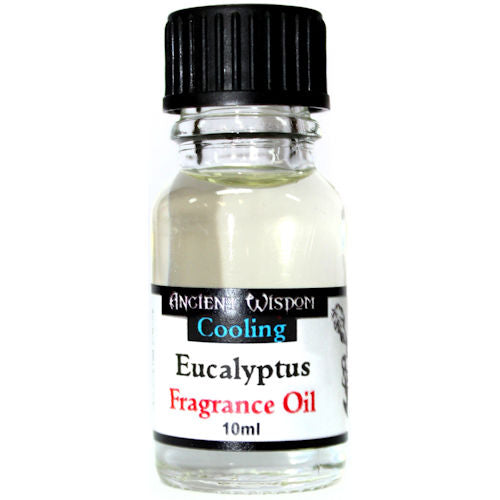 10ml Fragrance Oil - Eucalyptus
