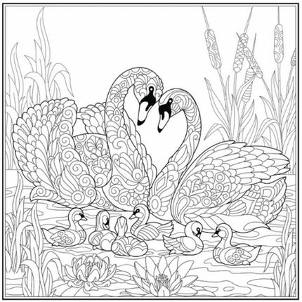 Peace Love Advanced Colouring Book - Single Assorted