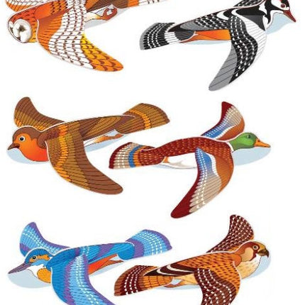 Bird Polystyrene Plane Gliders - 6 Pack