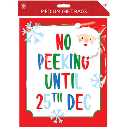 Christmas Medium Cute Gift Bags - Assorted