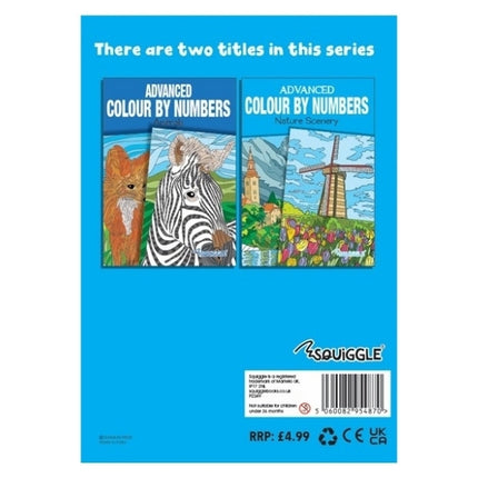 A4 Animals Nature Advanced Colour by Numbers Book - Assorted