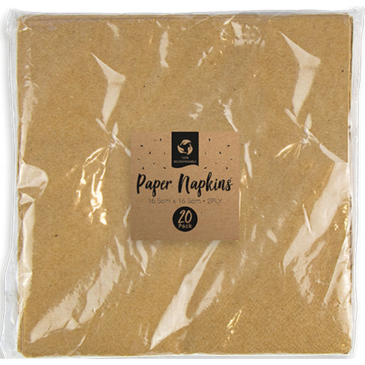 Biodegradable Paper Napkins 20 Pack