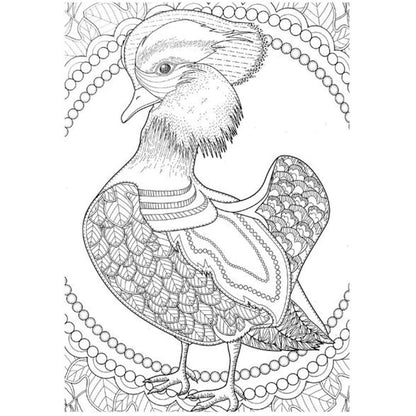 A4 Animals & Birds Adult Colouring Book - Assorted