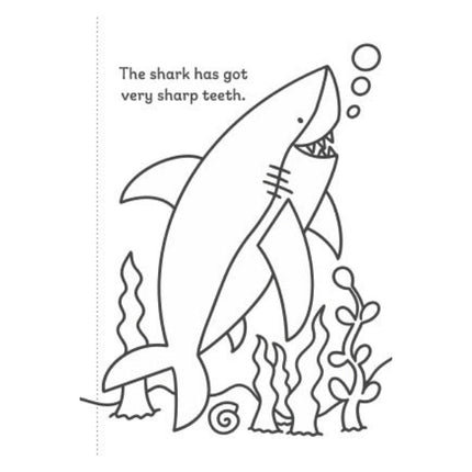 A4 My First Animal Things That Go Colouring Book - Assorted
