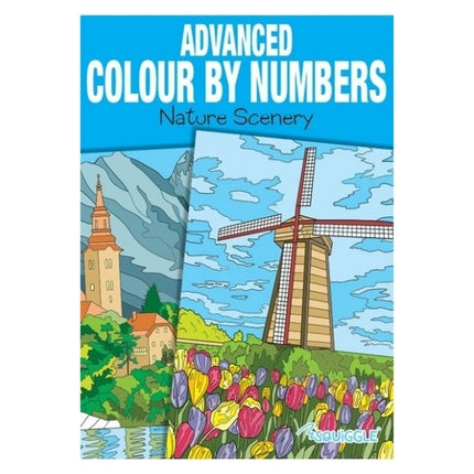 A4 Animals Nature Advanced Colour by Numbers Book - Assorted