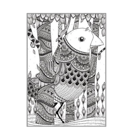 A4 Beautiful Butterflies Birds Colouring Book - Assorted