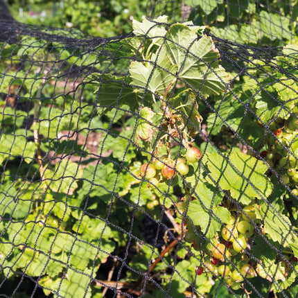 Keplin Garden Netting Set - Black