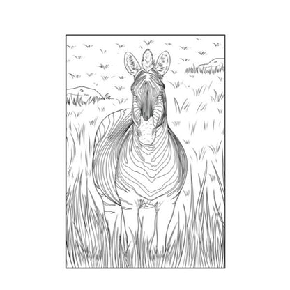 A4 Life On The Savannah Advanced Colouring Book - Wildlife High Quality Relaxing