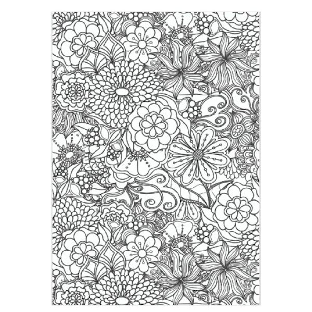 A4 Advanced Colouring Book - Assorted Detailed Designs Intricate Patterns High Quality Paper Relaxing Art Therapy