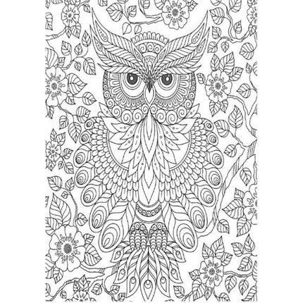 A4 Animals & Birds Adult Colouring Book - Assorted