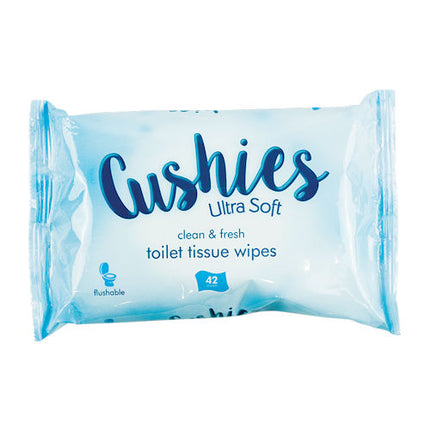 Classic Toilet Wipes - 42 Pack