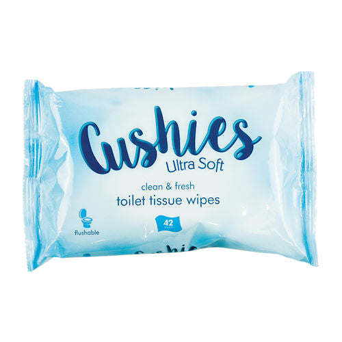 Classic Toilet Wipes - 42 Pack