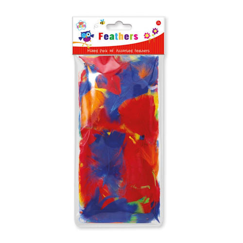 Pack of Craft Feathers - Assorted